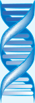 DNA Icon Image